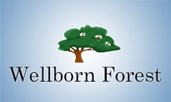 wellbornforest